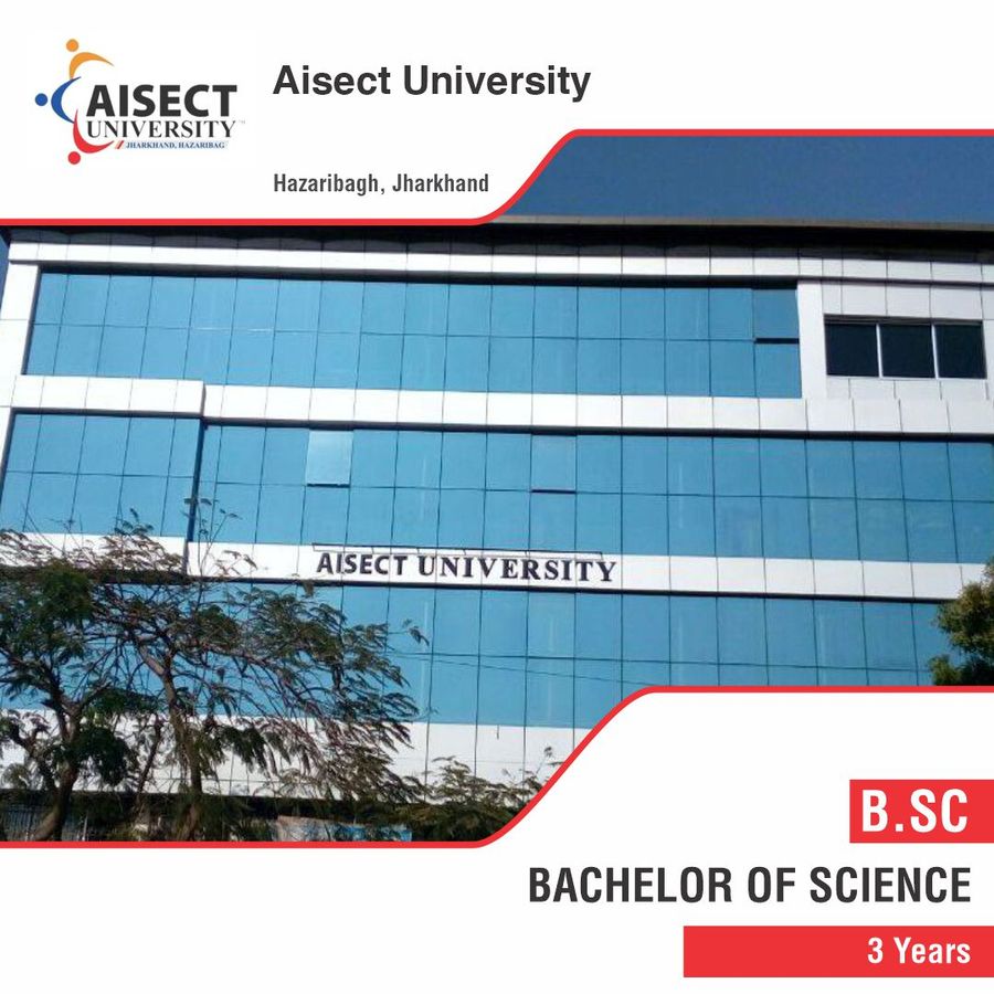 B.Sc in Information Technology at Aisect University, Jharkhand - Other